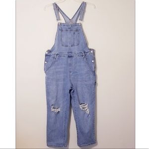 Wild Fable Over-Sized Distressed Overalls